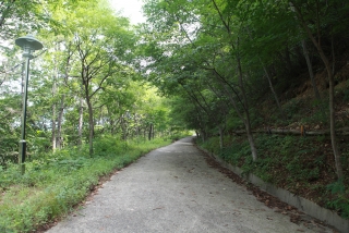 장령산휴양림 사진